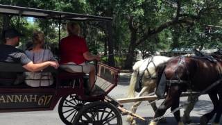 Summers Day - Wunder Wunder