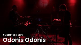 Odonis Odonis - Collector | Audiotree Live