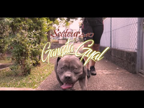 Secteur 410 - Gangsta Gyal - Clip officiel