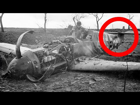 The Black Pilots Who Broke Hitler’s Mind – The Secret War of the Red Tails