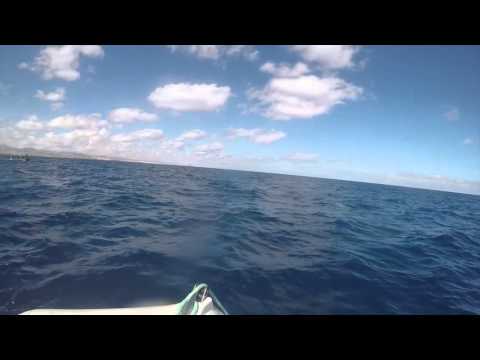 download lagu mp3 mp4 Finwal, download mp3 Finwal free download mp3, download mp3 Finwal