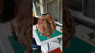 Bent Mail Call x8 Live! #gold #goldpanning #prospecting