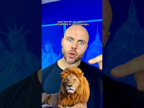 What do you call this animal 🦁 in your language? #learninglanguages #lionking #humor #english