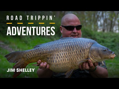Jim Shelley invites us on a mega European ROAD TRIP in search of MONSTER CARP Preview