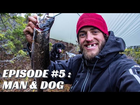 68 Days Across Newfoundland Wild: EP.5 Man & Dog
