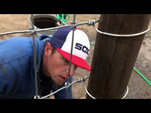 YouTube video about: How to stretch no climb horse fence?