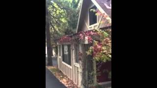 Outside at Sleepy Forest Cabins(Mike & Joleen Gross)