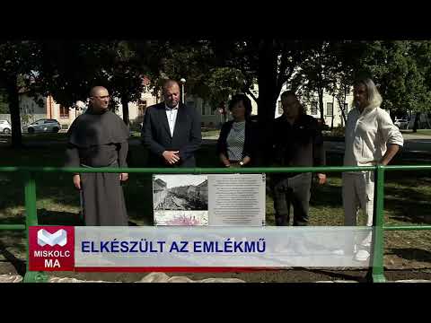 Videó előnézet