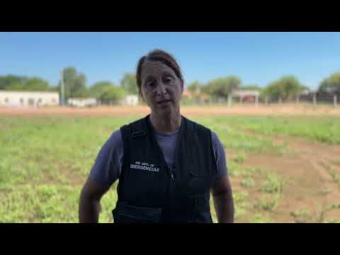 Más de 18 mil kilos de alimentos entregados en Rivadavia Banda Sur