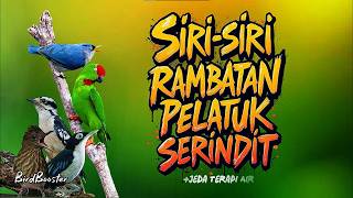 Download lagu MASTERAN BURCIL LENGKAP TEMBAKAN TAJAM SATU JALUR   TERAPI AIR mp3