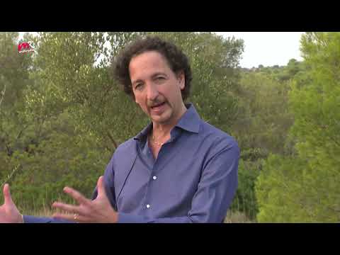 MASSAFRA 1969: 53 ANNI FA IL DISASTROSO IMPATTO TRA DUE AEREI DELL'AVIAZIONE ITALIANA.