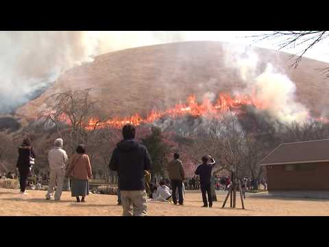 大室山山焼き(伊東市)
