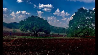Walking the Freshly Plowed Farm