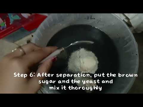 A Vlog Documentary: Fermentation Process of making a Miracle Fruit Wine
