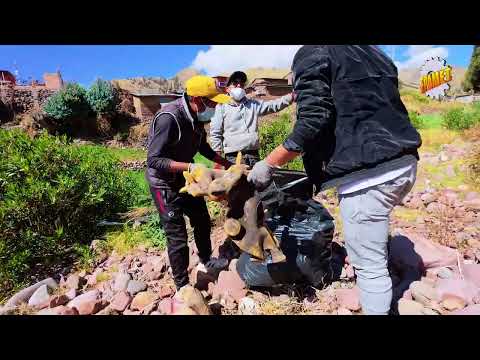 Video EPAMET