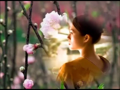 Hoa đào năm ngoái Sheet - Xuân Thanh