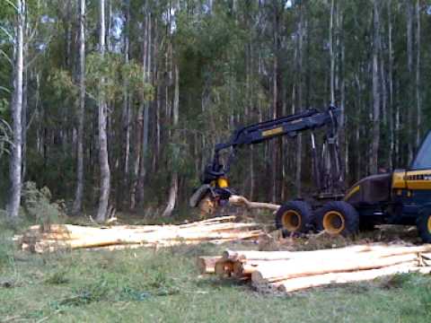 Ponsse en Tacuarembó uruguay parte 2