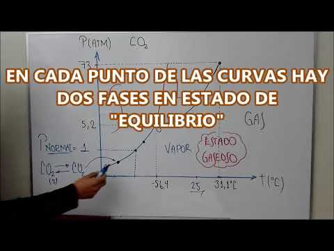 QUÍMICA—DIAGRAMA DE FASES (CO2 Y H2O)