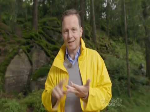 New Scandinavian Cooking