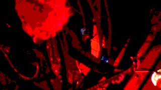 Should Have Known Better - Richard Hagan