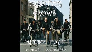 Ghost in You (Fantasy Flight - Counting Crows)