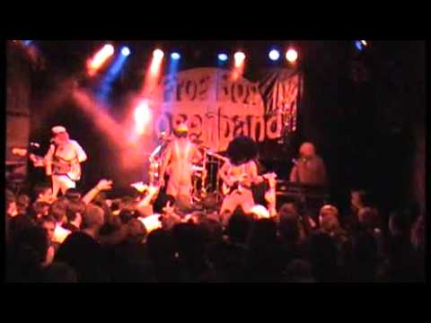 Frog Bog Dosenband: Eindimensional