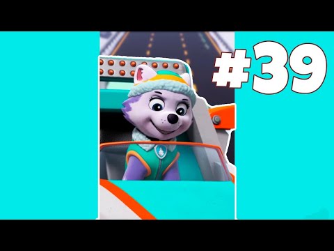 Preview 39 episode  PawPatrol passing game. Gameplay walkthrough. MiniMaxTV #shorts