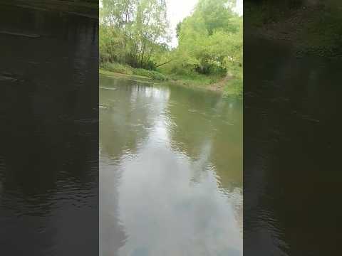 Disfrutando del correr de las aguas - Arroyo Tacuarembó Chico 07/01/2026