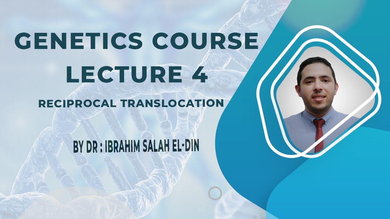 Genetics Course Lecture 4 Reciprocal translocation