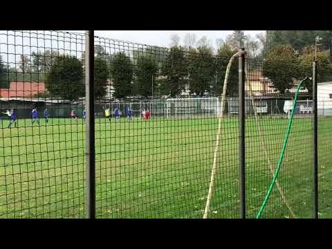 Besnatese vighignolo