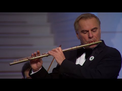 Andrea Griminelli plays Vivaldi's L'Estate, Op.8 Concerto in G Minor No.2, RV 315, III° Presto