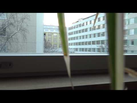 Steelers vs. Koovee B-tytöt