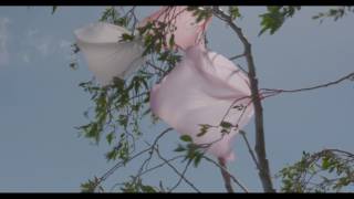 DC Salas - Cala Falco feat. Joy Wellboy (Official Video)