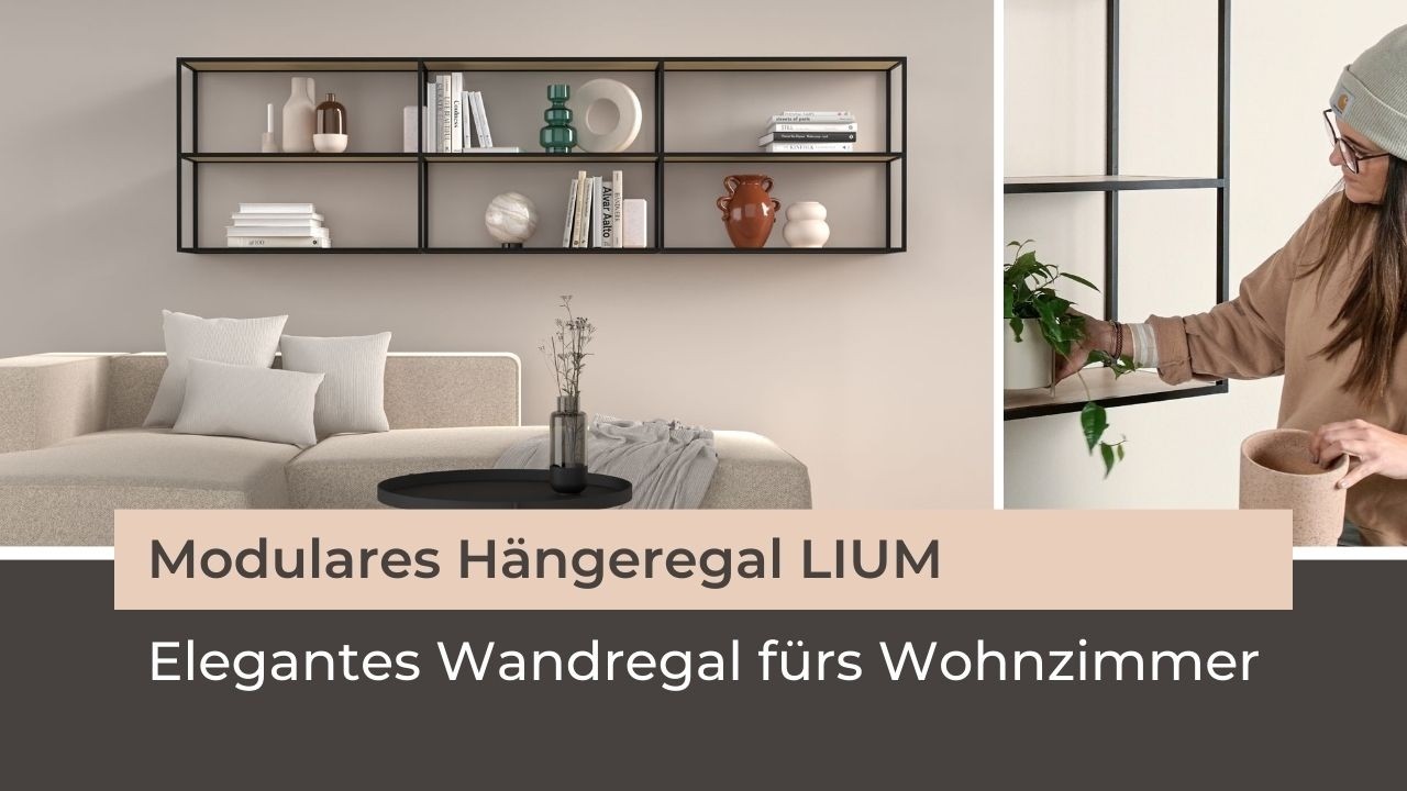 Promovideo - LIUM als Hängeregal