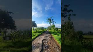 Download lagu story' WhatsApp di sawah yang estetik,saat di pagi hari,dengan pemandangan yang sangat indah 👍👍👍👍👍👍👍 mp3