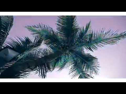 Pambala - Truxuda Rolante Feat Zoca Zoca & Dorivaldo Mix