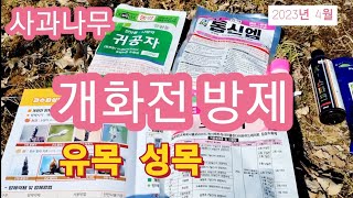 2023년 사과나무 개화전 방제