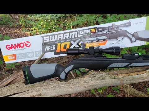 Affordable Plinking! Gamo Swarm Viper 10x Gen3i