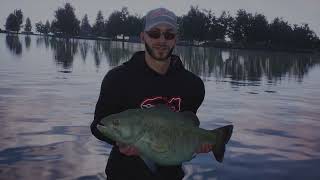 Bassmaster Fishing 2022 Lake Hamilton online open round 3!!!