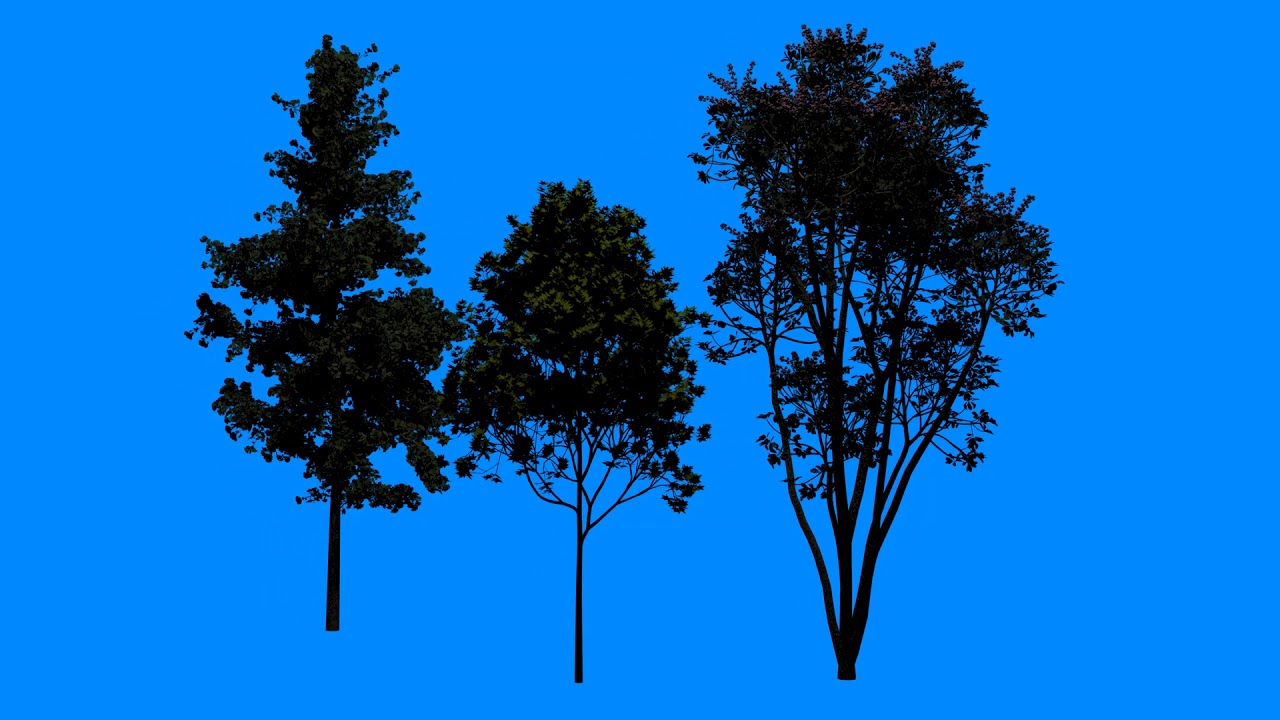 FREE HD Green Screen - BACKGROUND TREES - 2