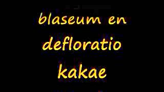 Knorkator - Absolution