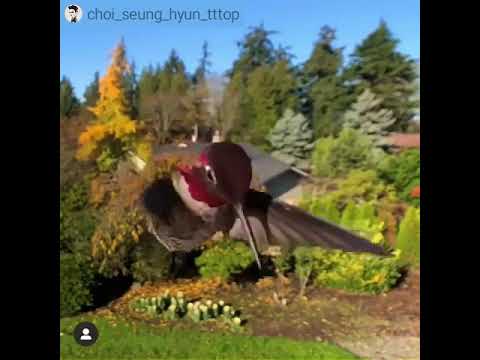 2019.09.16 TOP's Instagram update