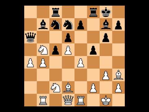 Loek Van Wely(2681) vs Magnus Carlsen(2733) | Event: Corus | 2008.01.23