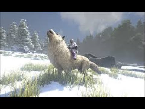 Direwolf breeding-Ark mutations Part 2