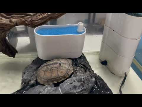 Upettools Turtle Filter Waterfall Flow Water Clean Pump for Turtle Tank