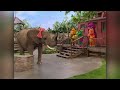 Barney Friends S10E5 Seeing Hearing 2006