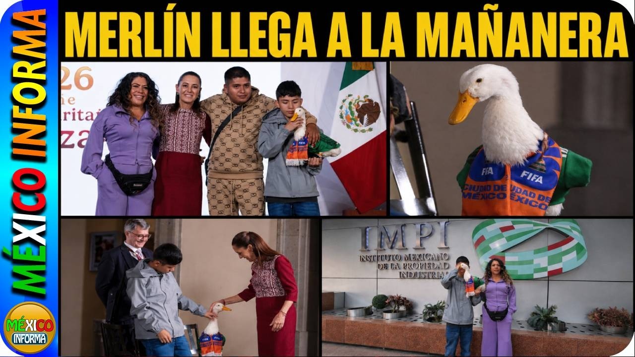 MERLÍN LLEGA A LA MAÑANERA. VAN AL IMPI PARA REALIZAR SU REGISTRO. DERECHA R4BIOSA Y MENTIROSA.