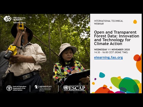 Imagen Datos Forestales Abiertos y Transparentes: Innovación y Tecnología para la Acción Climática