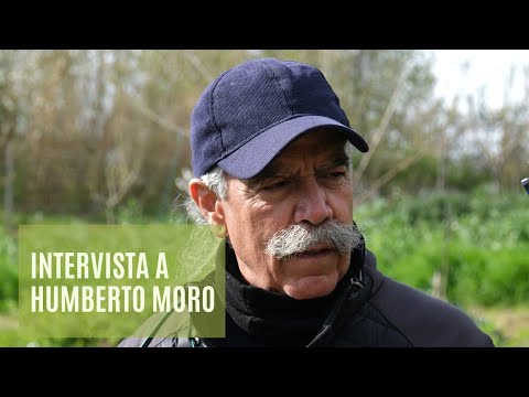 Intervista a Humberto Moro sul sistema K-line e sulla gestione dell'acqua