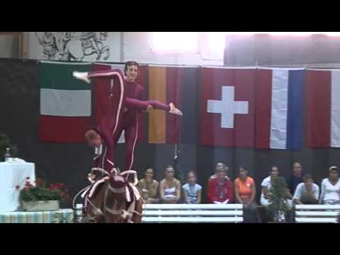 CVI Bern 2015 Vaulting